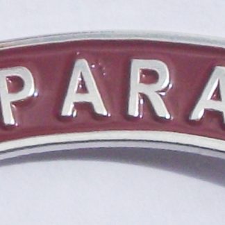 PARA PARACHUTE REGIMENT