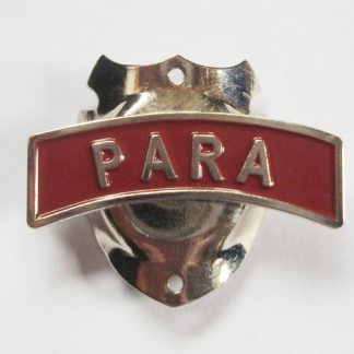 PARA PARACHUTE REGIMENT LAPEL PIN OR WALKING STICK MOUNT QUALITY ITEM 2 VARIATIONS - Walking Stick Mount