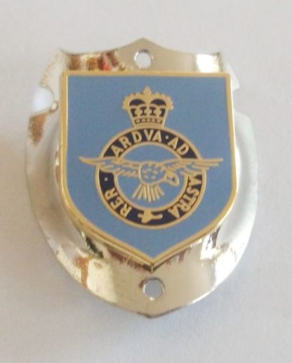 ROYAL AIR FORCE RAF LAPEL PIN OR WALKING STICK MOUNT 2 VERSIONS QUALITY LAPEL PIN - Image 2
