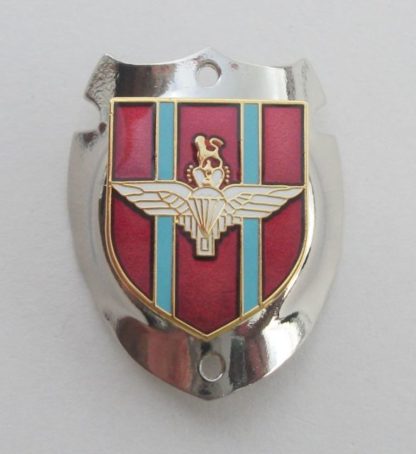 PARACHUTE REGIMENT LAPEL PIN OR WALKING STICK MOUNT PARA WINGS QUALITY ITEM 2 VARIATIONS - Image 2