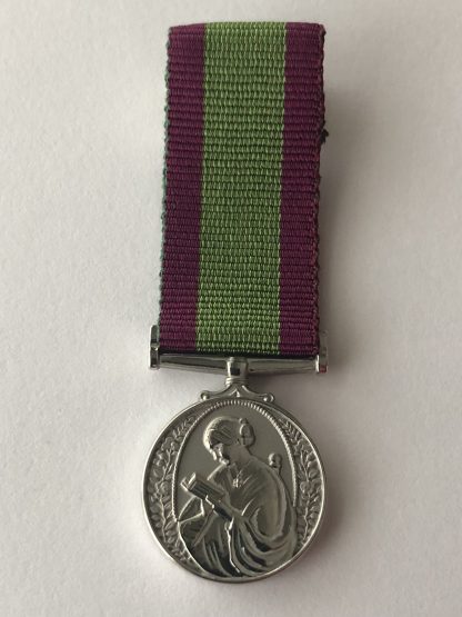 International nursing medal