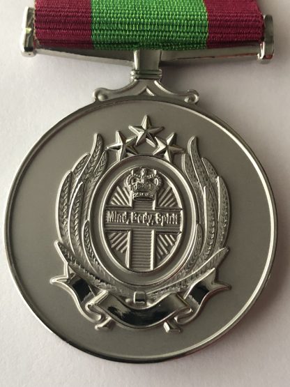 International nursing medal