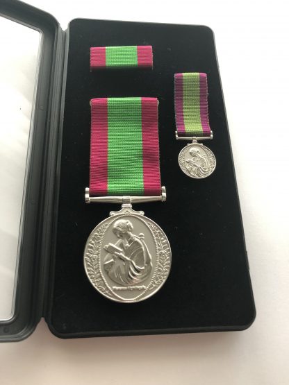 International nursing medal