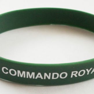 29 COMMANDO ROYAL ARTILLERY