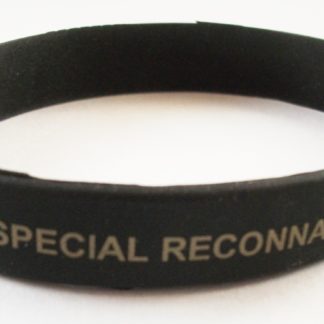 Special Reconnaissance Regiment SRR