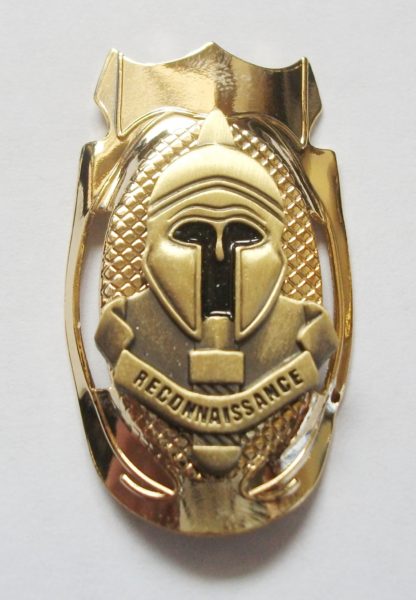 Special Reconnaissance Regiment SRR